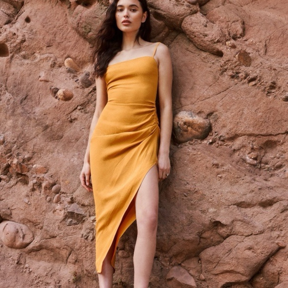 Reformation Mignon Dress